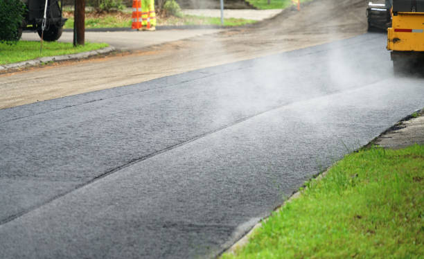 Best Driveway Paver Repair  in Panhandle, TX